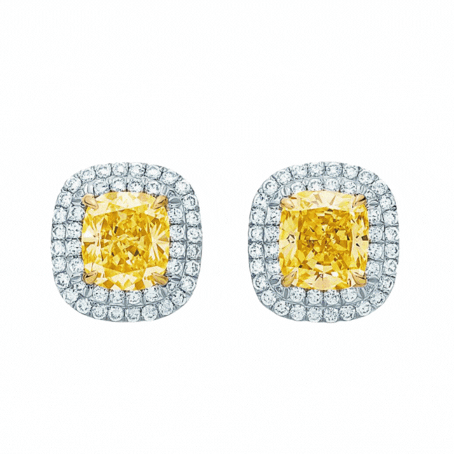 SS_ 06 November 2025 _GIF